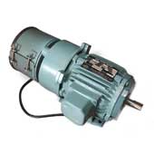 Brake Motors